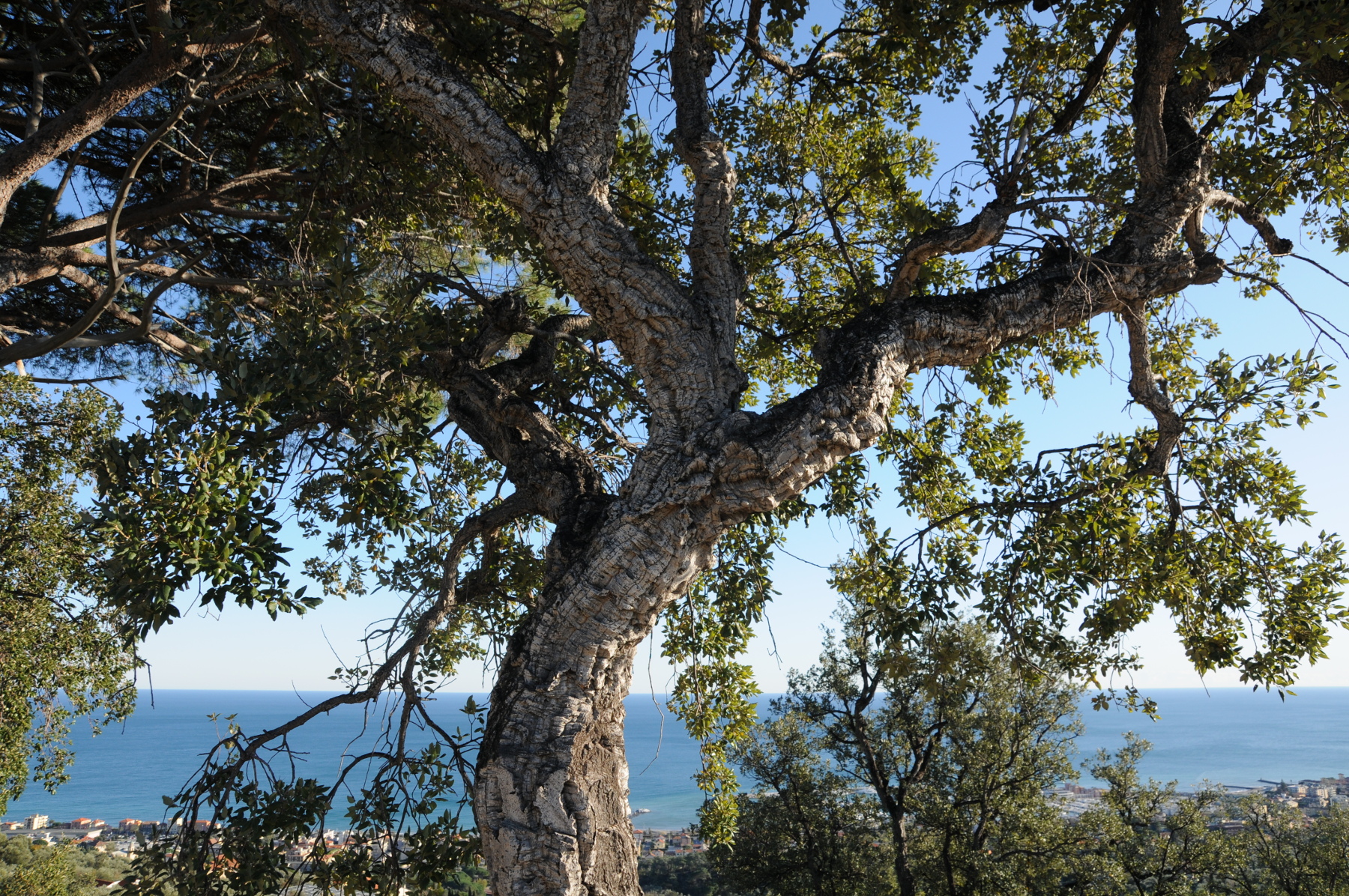 PIETRA NEL VERDE – TREKKING NATURALISTICO